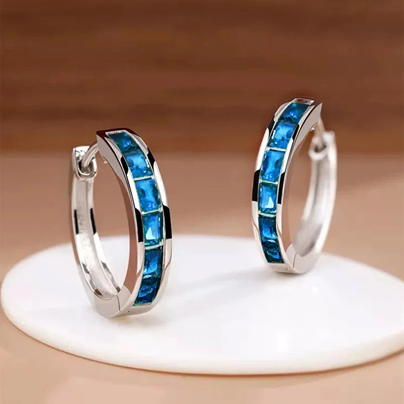 Classic Design Hoop Earrings