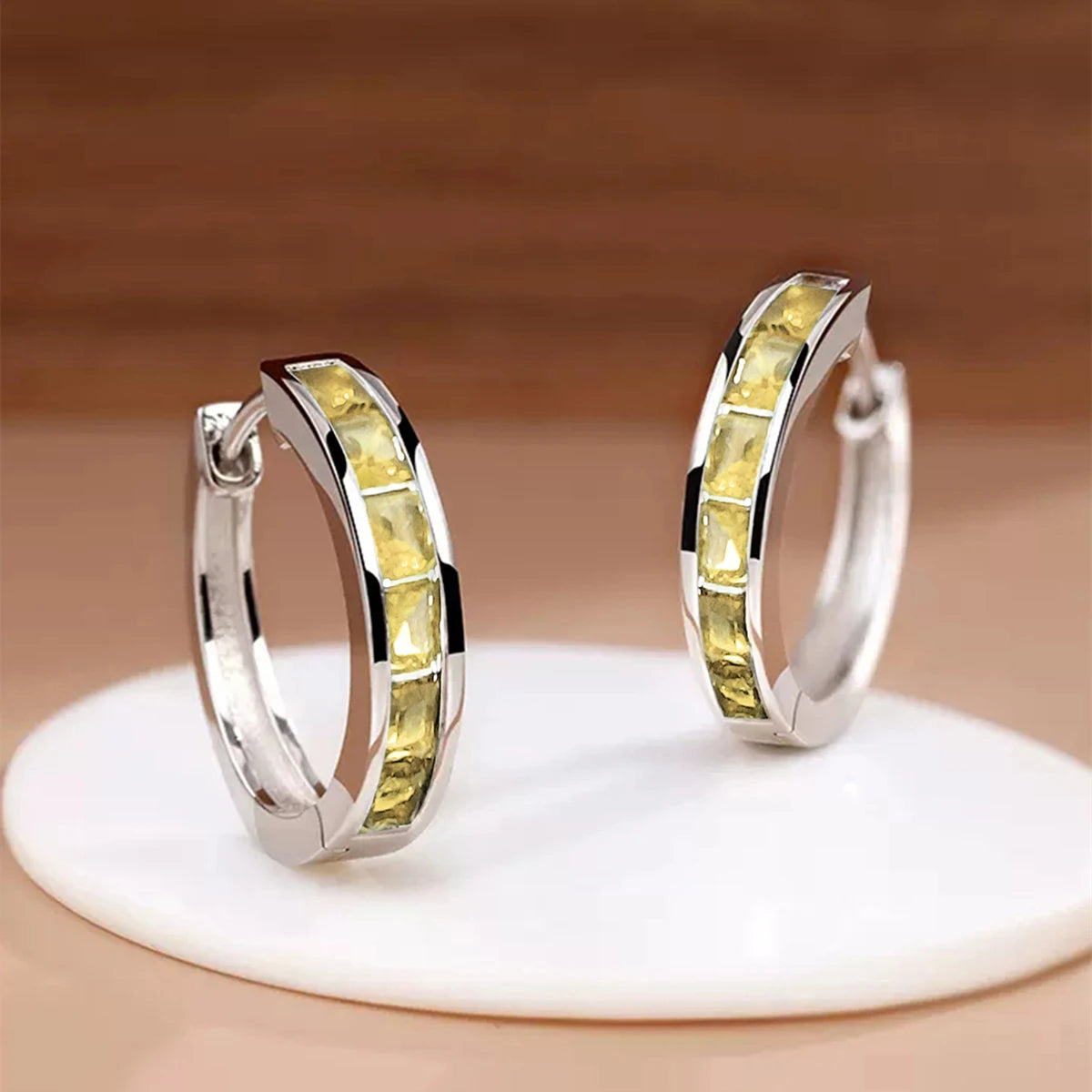 Classic Design Hoop Earrings