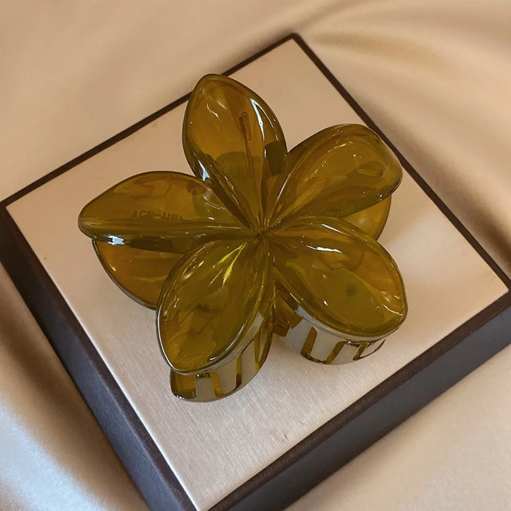 Brown Beige Lightweight Plastic Hair Clips