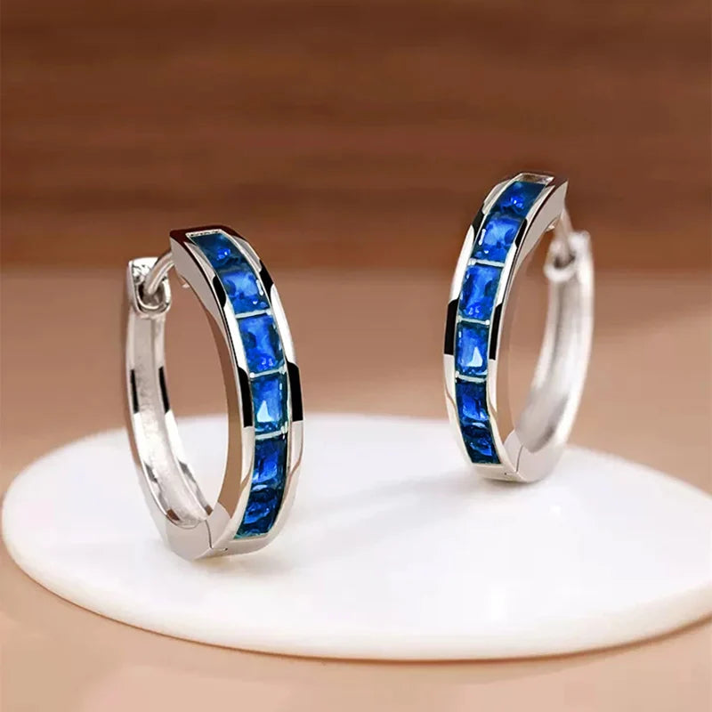 Classic Design Hoop Earrings