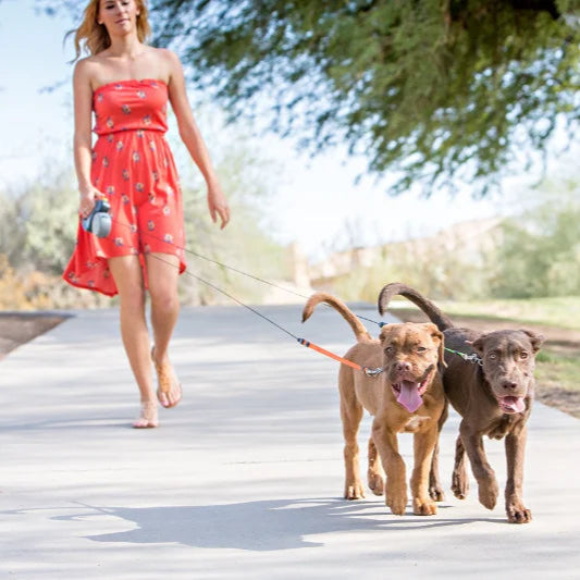 Retractable Dual Doggie Leash with LED Light